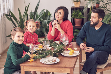 Family Together Christmas Celebration Concept. Family Enjoying christmas dinner background