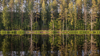 Finland lake landscape in summer