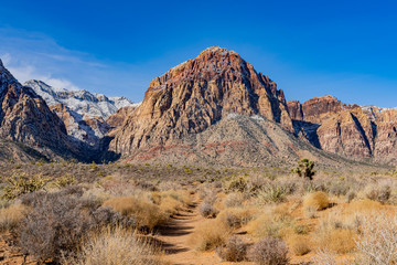 Winter snowy landscape of the famous Red Rock Canyon