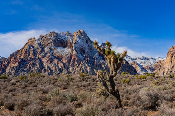 Winter snowy landscape of the famous Red Rock Canyon