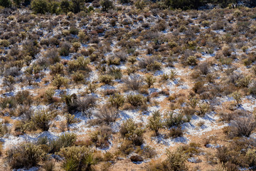 Winter snowy landscape of the famous Red Rock Canyon