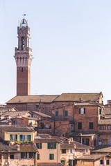 Fototapeta na wymiar Siena Italy, view of the Duomo and surrounding buildings on the skyline of the city of Siena in Tuscany, Italy.
