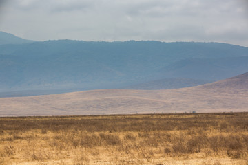 Ngorongorokrater – Nationalpark - Tansania