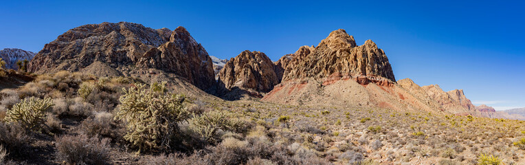 Black Velvet Canyon of the famous Red Rock Canyon