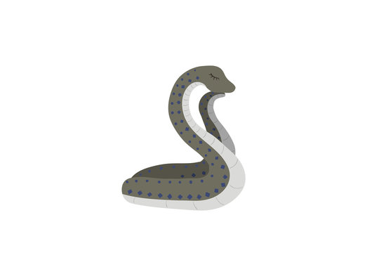 Sleeping snake on a white background.