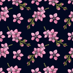 Watercolor pattern with sakura