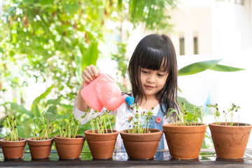Adorable 4 years old asian little girl is watering the plant  in the pots in the garden outside the...