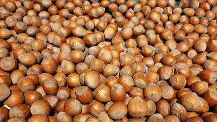 Heap of Hazelnuts Background 1