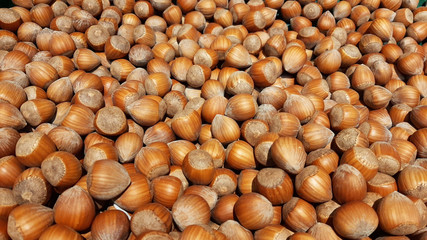 Heap of Hazelnuts Background 2