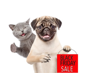 Pug puppy with kitten holds shopping bag with black friday text. isolated on white background