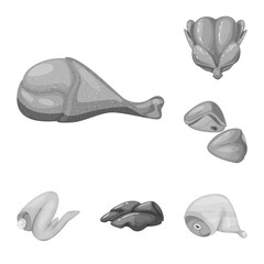 Isolated object of cuisine and bird sign. Collection of cuisine and poultry stock symbol for web.