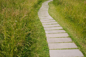 Concrete walkway in the park on green grass