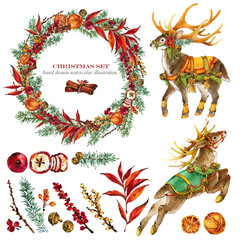 watercolor Christmas set for design. cute reindeer. holidays floral wreath. Happy New Year decoration. winter nature illustration. watercolor botanical set