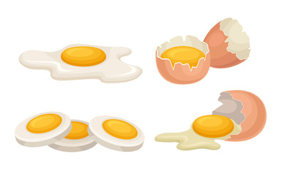 Eggs Set, Broken Eggs with Cracked Shell, Healthy Organic Food Vector Illustration
