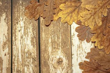 Flat lay in warm colors on a wooden background. Dry autumn oak leaves frame the background to the right and top.