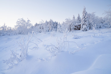 Fototapeta na wymiar sunrise over a beautiful winter landscape in winter