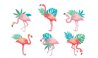 Papier Peint photo Flamingo Beautiful Pink Flamingos Set, Tropical Exotic Birds with Palm Leaves Vector Illustration