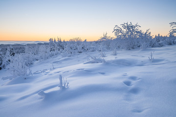 sunrise over a beautiful winter landscape in winter