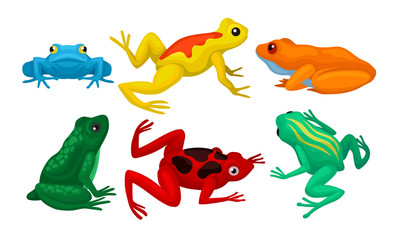 Frogs Collection, Cute Amphibian Animals of Different Colors Vector Illustration