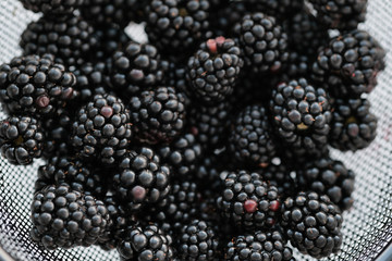 Top view of wet metal strainer full of washed out blackberries isolated on white background
