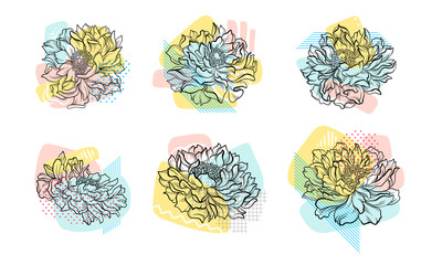 Beautiful Hand Drawn Flowers Set, Wedding, Birthday, Valentine Card Design Element Vector Illustration