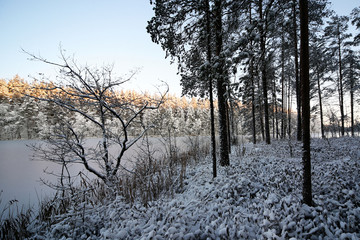 Beginning of winter. Cold morning, sun is rising at lake Vähä-Melkutin in Southern Finland. 