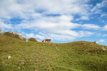Mucca