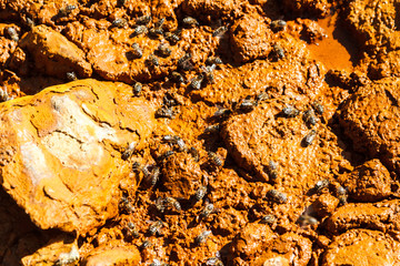 Rocks in Rio Tinto, Huelva, Spain