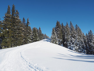 Fototapeta na wymiar Winter in den Ammergauer Alpen - Bayern