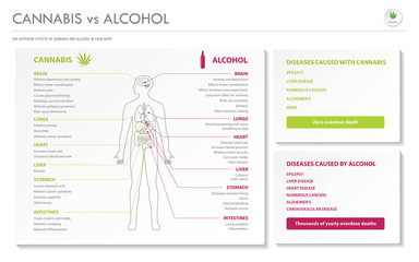 Cannabis vs Alcohol horizontal business infographic illustration about cannabis as herbal alternative medicine and chemical therapy, healthcare and medical science vector.