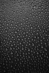 abstract background: many drops of water on a dark surface - non-stick coating in a pan. Black and white photo