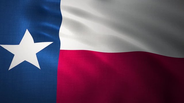 Texas US State flag waving seamless loop in 4K. United States of America texas loopable flag with highly detailed fabric texture