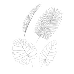Tropical leaves - contour line drawing