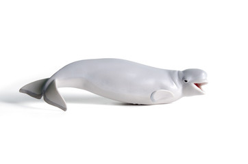 Beluga ballena blanca