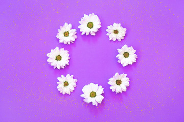 White chrysanthemum in the shape of circle on a purple background with glitter