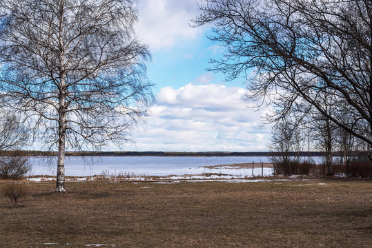 picture of nature on the lake in early spring