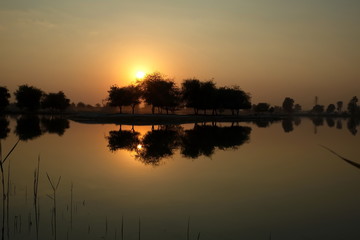 Naklejka na ściany i meble Silhouette tree on the sunset at Al Qudra love lake, Dubai, United Arab Emirates