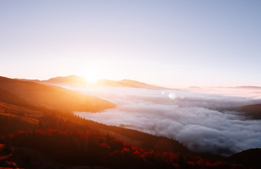 Perfect morning moment in alpine foggy valley.