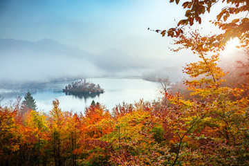 Aerial view of the alpine lake Bled. Location Julian Alps, Slovenia, Europe.
