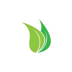 Green leaf ecology nature element vector icon