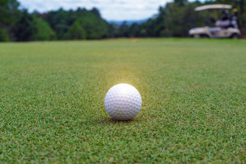 Golf ball on green in beautiful golf course at sunset background.