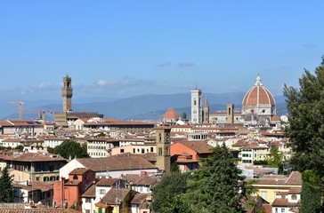 Fototapeta na wymiar Florence cityscape with the Palazzo Vecchio and the Cattedrale di Santa Maria del Fiore with the Campanile di Giotto and Brunelleschis Dome. Italy.