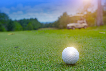 Golf ball on green in beautiful golf course at sunset background.