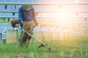 Male employees use lawn mowers to cut grass in the area of solar power plants
