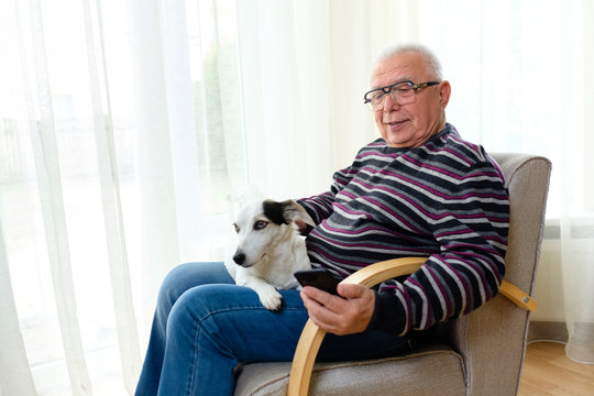Senior man 70-75 years old sitting on armchair at home, reading, watching and relaxing with smartphone with his best friend, a dog Jack russell terrier.