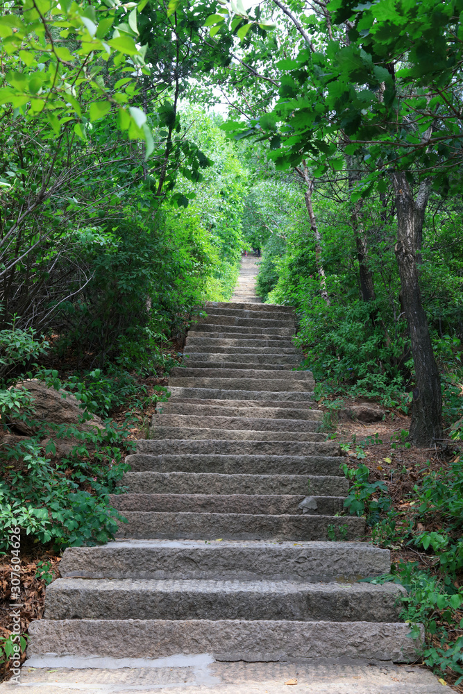 Canvas Prints  mountain path in the tourist area