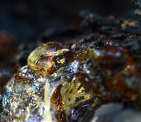 Resin with a color spectrum on the cherry tree
