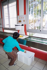 Ecoliers qui recycle dans leur école leurs poubelles