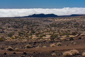 Parque nacional de El Teide, volcan sito en Tenerife (Islas Canarias, España).
