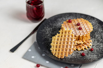 Traditional Belgian waffles with fresh fruits, sprinkled with powdered sugar and cocoa. You can eat for breakfast with compote or coffee. Holiday breakfast. Copy space.  